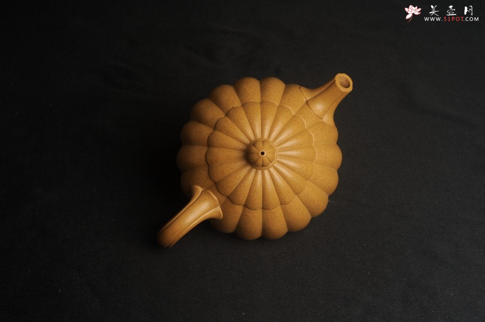 紫砂壶图片：实力派张海艳精工实力之作全手工菊瓣西施壶 壶特好 - 宜兴紫砂壶网