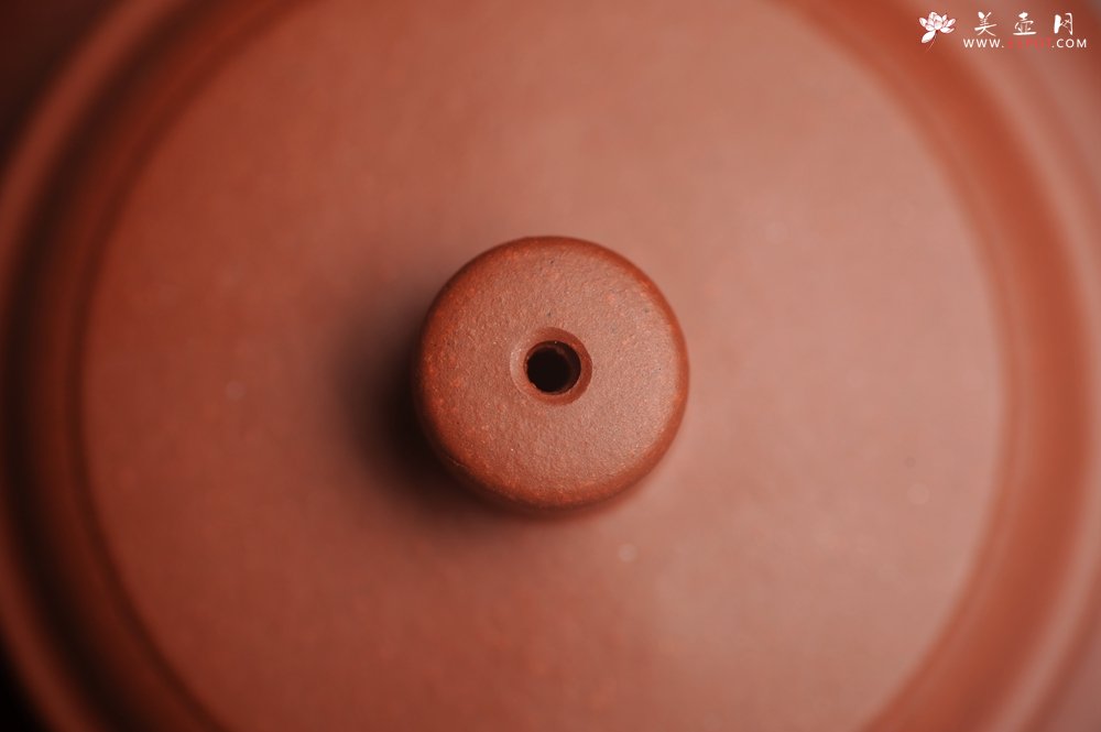 紫砂壶图片：美壶特惠 优质清水泥精致德中壶 矿物质丰富 茶人醉爱 - 宜兴紫砂壶网