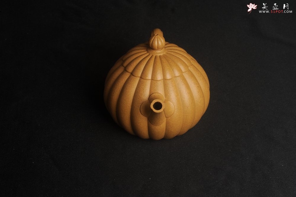 紫砂壶图片：实力派张海艳精工实力之作全手工菊瓣西施壶 壶特好 - 宜兴紫砂壶网