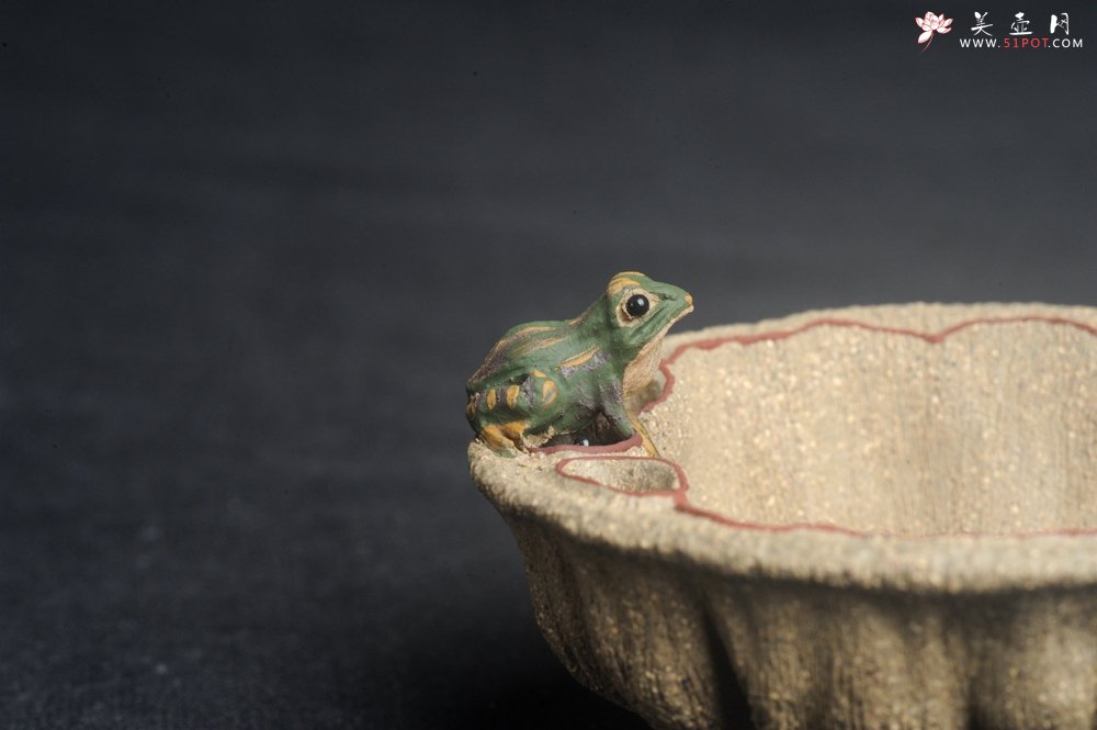 紫砂壶图片：美杯特惠 精致段泥青蛙莲子主人杯 - 宜兴紫砂壶网