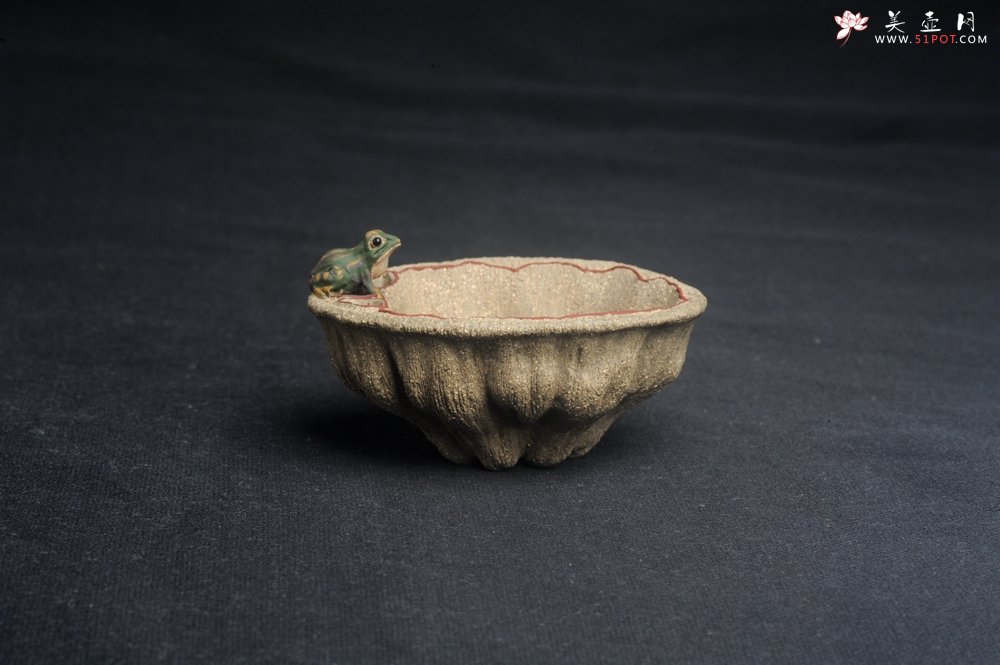 紫砂壶图片：美杯特惠 精致段泥青蛙莲子主人杯 - 宜兴紫砂壶网