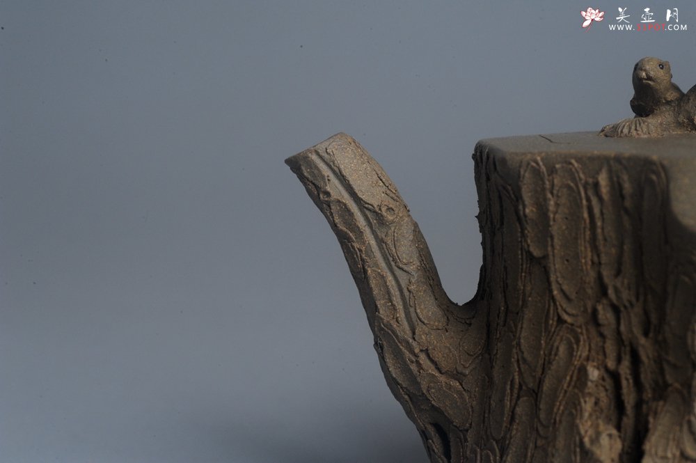 紫砂壶图片：潜力股赵老师 全手工青段松桩壶 松鼠跃然壶盖特有趣 肌理丰富 期待与您结缘 - 宜兴紫砂壶网