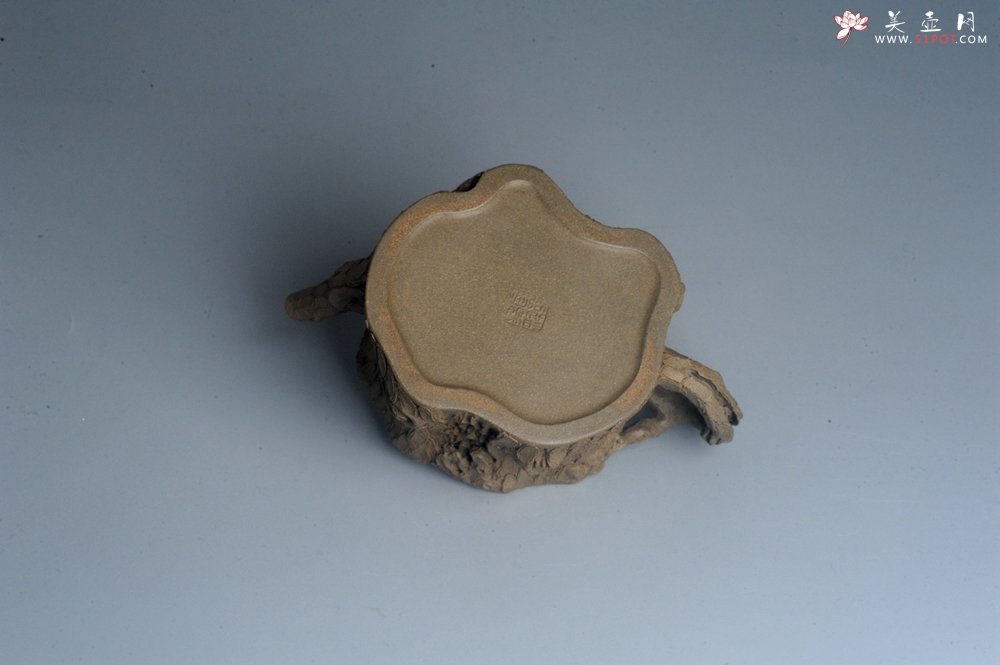 紫砂壶图片：潜力股赵老师 全手工青段松桩壶 松鼠跃然壶盖特有趣 肌理丰富 期待与您结缘 - 宜兴紫砂壶网