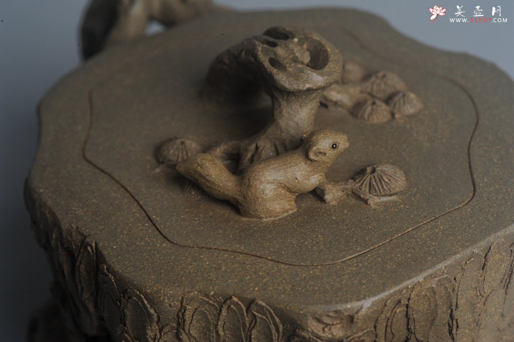 紫砂壶图片：潜力股赵老师 全手工青段松桩壶 松鼠跃然壶盖特有趣 肌理丰富 期待与您结缘 - 宜兴紫砂壶网