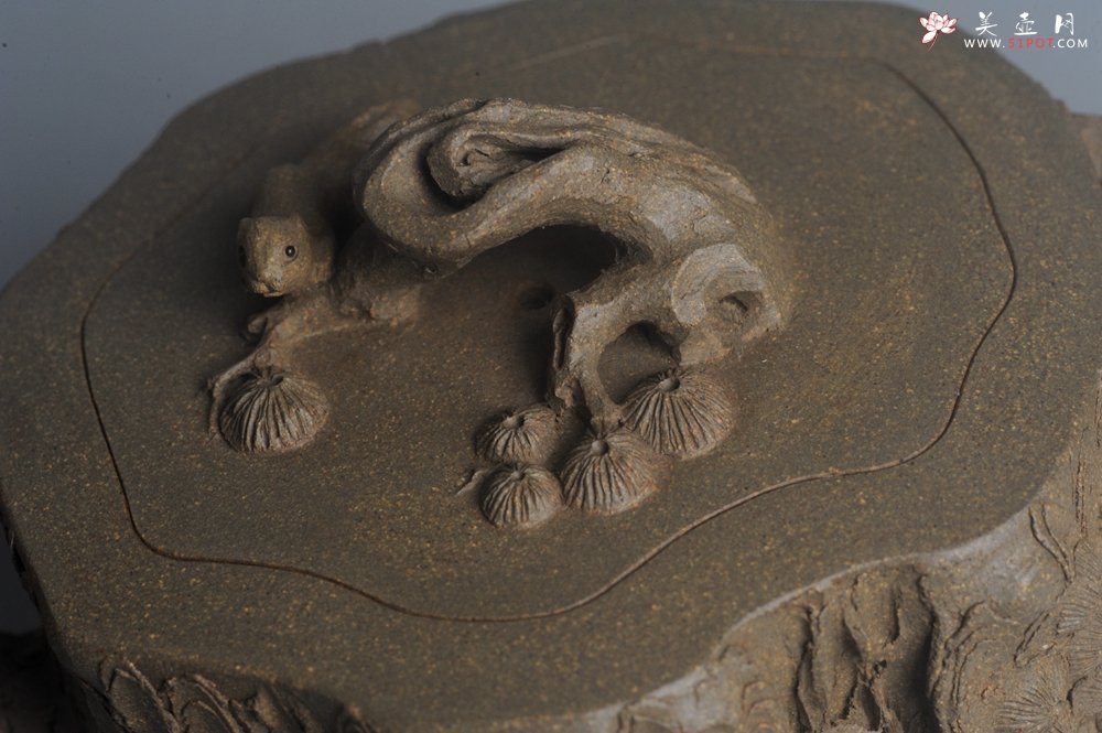 紫砂壶图片：潜力股赵老师 全手工青段松桩壶 松鼠跃然壶盖特有趣 肌理丰富 期待与您结缘 - 宜兴紫砂壶网