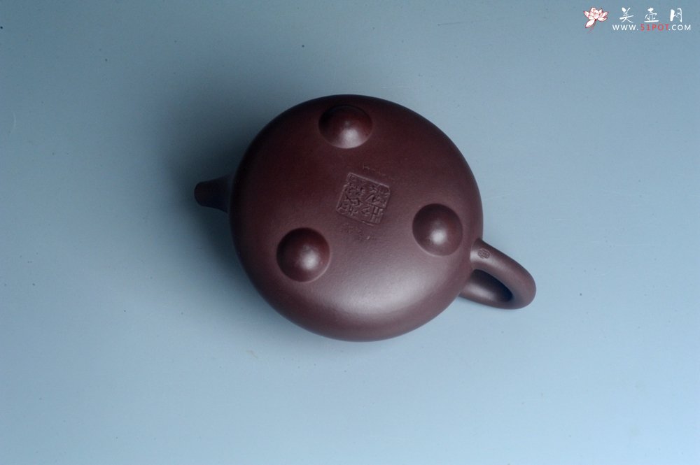 紫砂壶图片：实力派工艺师周斌 优质底槽青全手工精工满瓢壶 刘伟涛徒昊然装饰兰草图 一香已足压千红 - 宜兴紫砂壶网