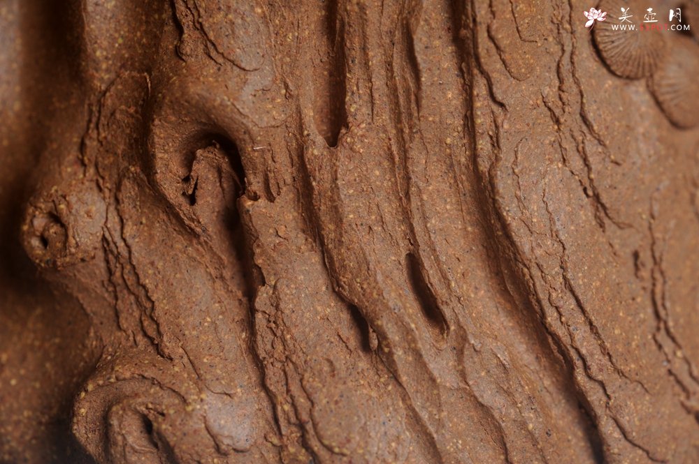 紫砂壶图片：潜力股唐老师 全手工精致老段松桩壶 肌理丰富生动 期待与您结缘 - 宜兴紫砂壶网