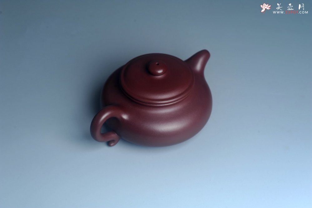 紫砂壶图片：潜力股周小培老师 4号井深井红皮龙 超精致全手工仿古壶 做工不输万元同类作品 - 宜兴紫砂壶网