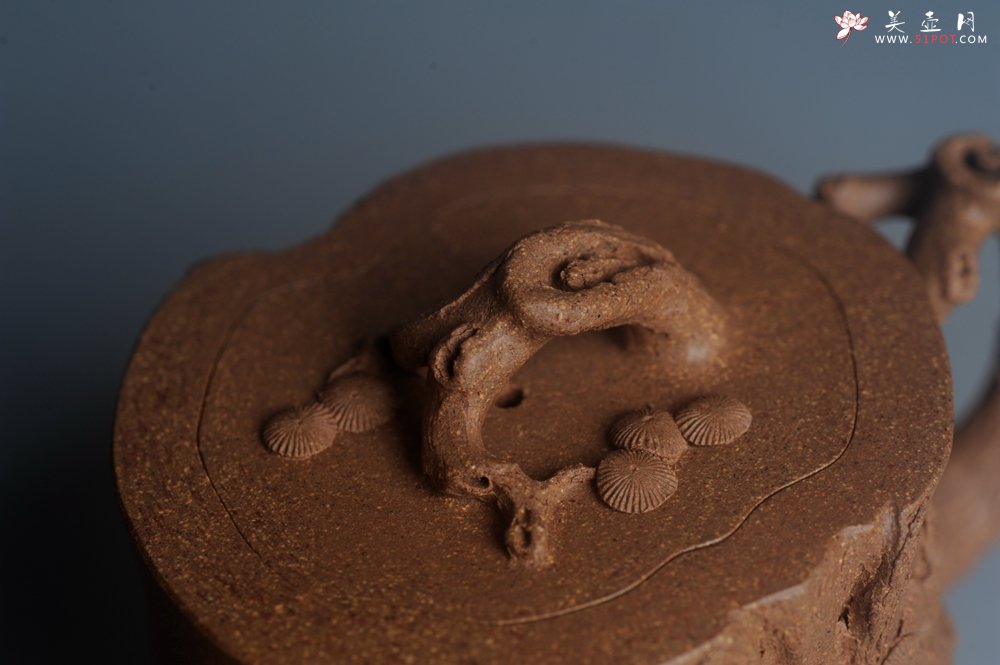 紫砂壶图片：潜力股唐老师 全手工精致老段松桩壶 肌理丰富生动 期待与您结缘 - 宜兴紫砂壶网