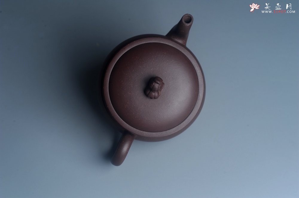 紫砂壶图片：美壶特惠 大口实用精工瑞狮壶 茶人醉爱 - 宜兴紫砂壶网