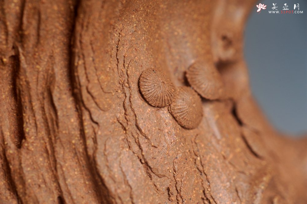 紫砂壶图片：潜力股唐老师 全手工精致老段松桩壶 肌理丰富生动 期待与您结缘 - 宜兴紫砂壶网