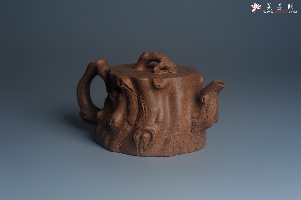 紫砂壶图片：潜力股唐老师 全手工精致老段松桩壶 肌理丰富生动 期待与您结缘 - 宜兴紫砂壶网
