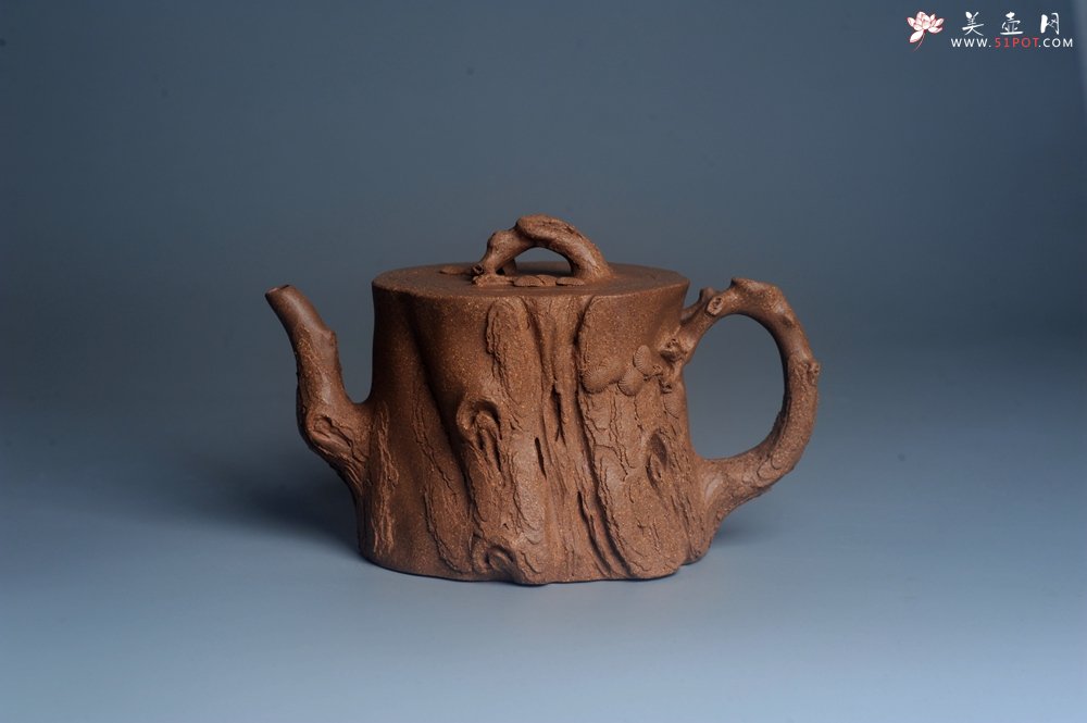 紫砂壶图片：潜力股唐老师 全手工精致老段松桩壶 肌理丰富生动 期待与您结缘 - 宜兴紫砂壶网