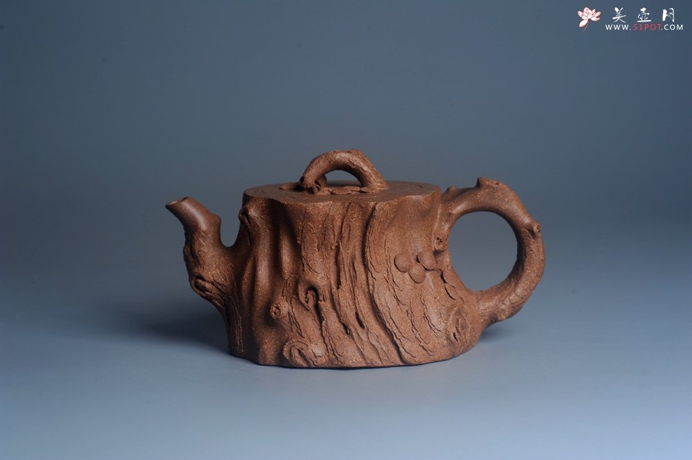 紫砂壶图片：潜力股唐老师 全手工精致老段松桩壶 肌理丰富生动 期待与您结缘 - 宜兴紫砂壶网