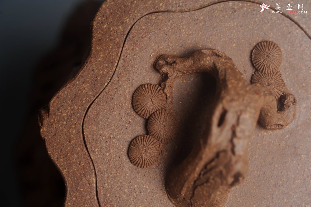 紫砂壶图片：潜力股唐老师 全手工精致老段松桩壶 肌理丰富生动 期待与您结缘 - 宜兴紫砂壶网