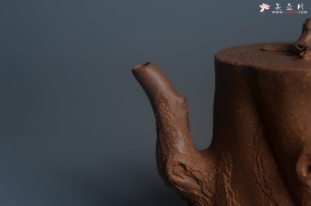 紫砂壶图片：潜力股唐老师 全手工精致老段松桩壶 肌理丰富生动 期待与您结缘 - 宜兴紫砂壶网