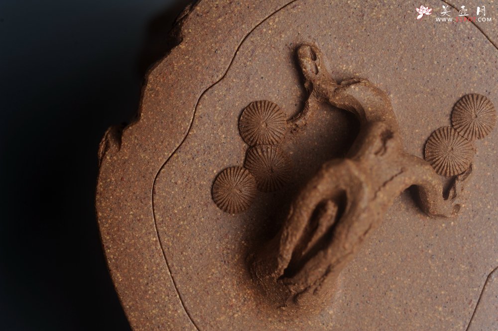 紫砂壶图片：潜力股唐老师 全手工精致老段松桩壶 肌理丰富生动 期待与您结缘 - 宜兴紫砂壶网