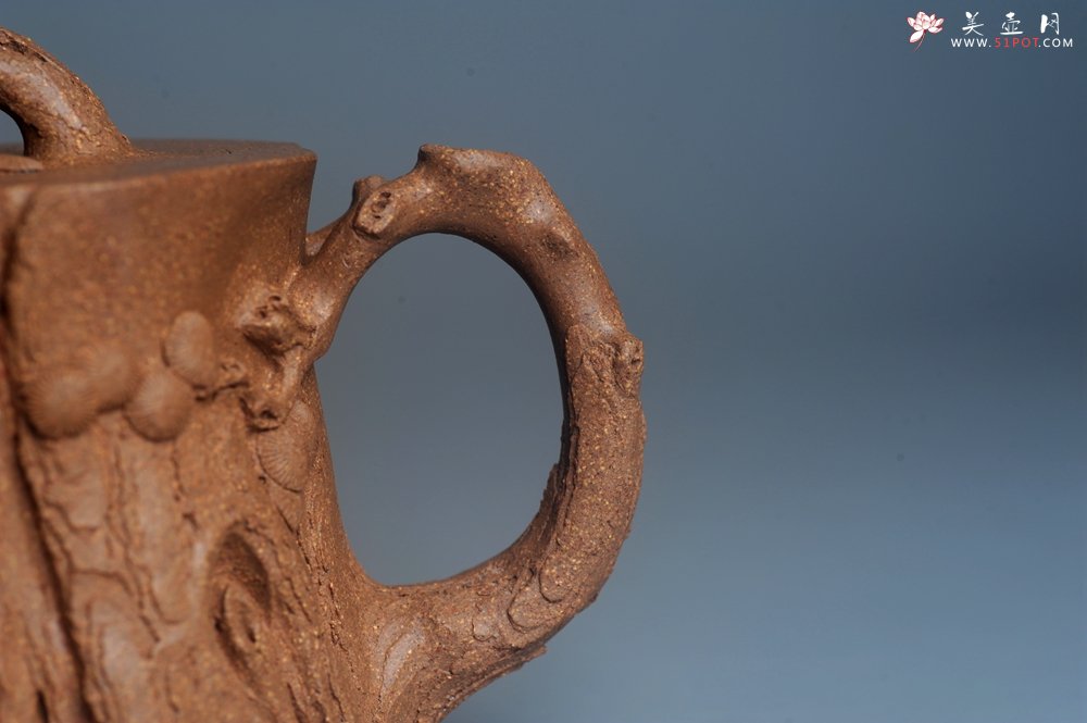 紫砂壶图片：潜力股唐老师 全手工精致老段松桩壶 肌理丰富生动 期待与您结缘 - 宜兴紫砂壶网