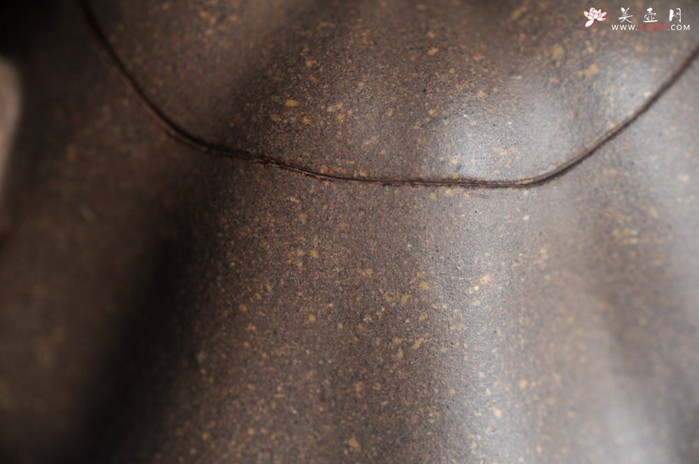 紫砂壶图片：美壶特惠 优质青降坡泥精致卡盖全手工仿生小南瓜 - 宜兴紫砂壶网