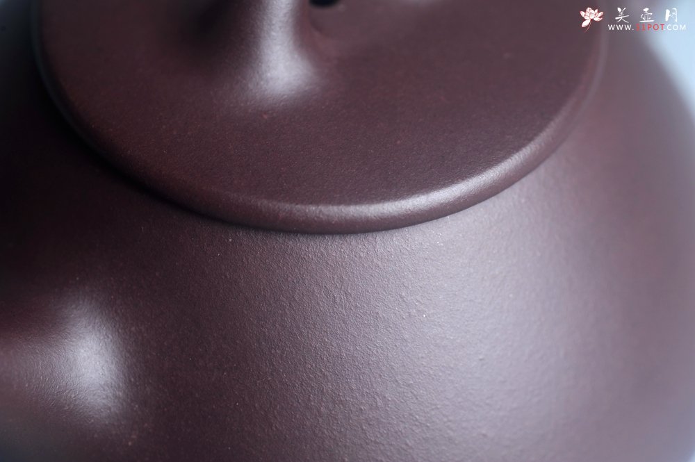 紫砂壶图片：油润底曹青 全手工石瓢壶 特文气 - 宜兴紫砂壶网