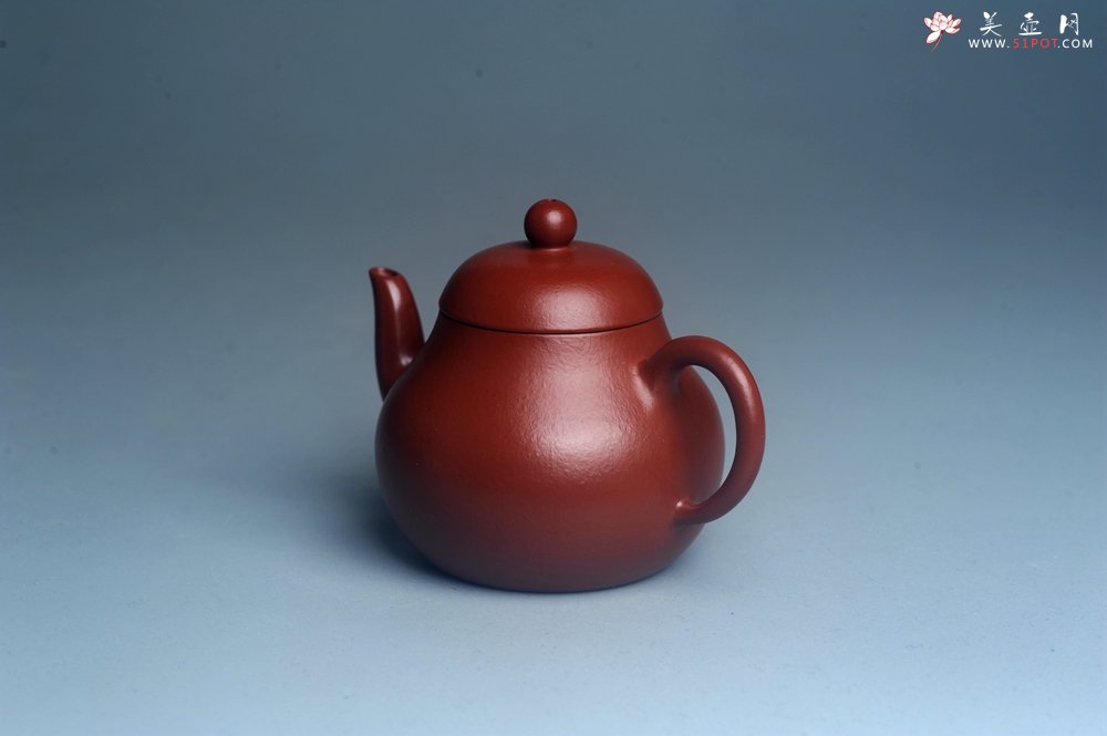 紫砂壶图片：美壶特惠 特好朱泥精致小君德壶 茶人醉爱 - 宜兴紫砂壶网