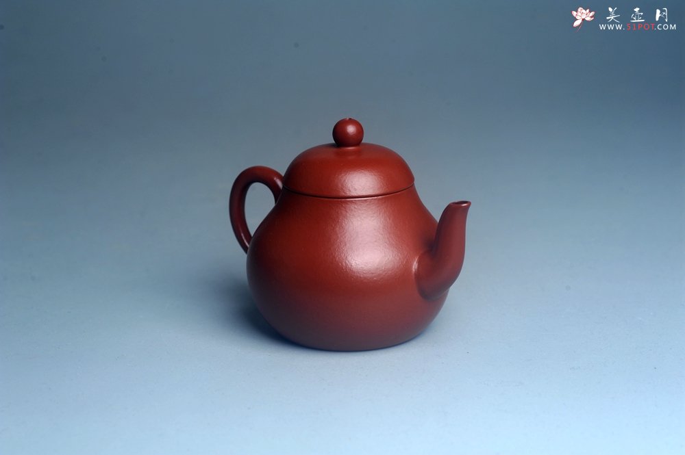 紫砂壶图片：美壶特惠 特好朱泥精致小君德壶 茶人醉爱 - 宜兴紫砂壶网