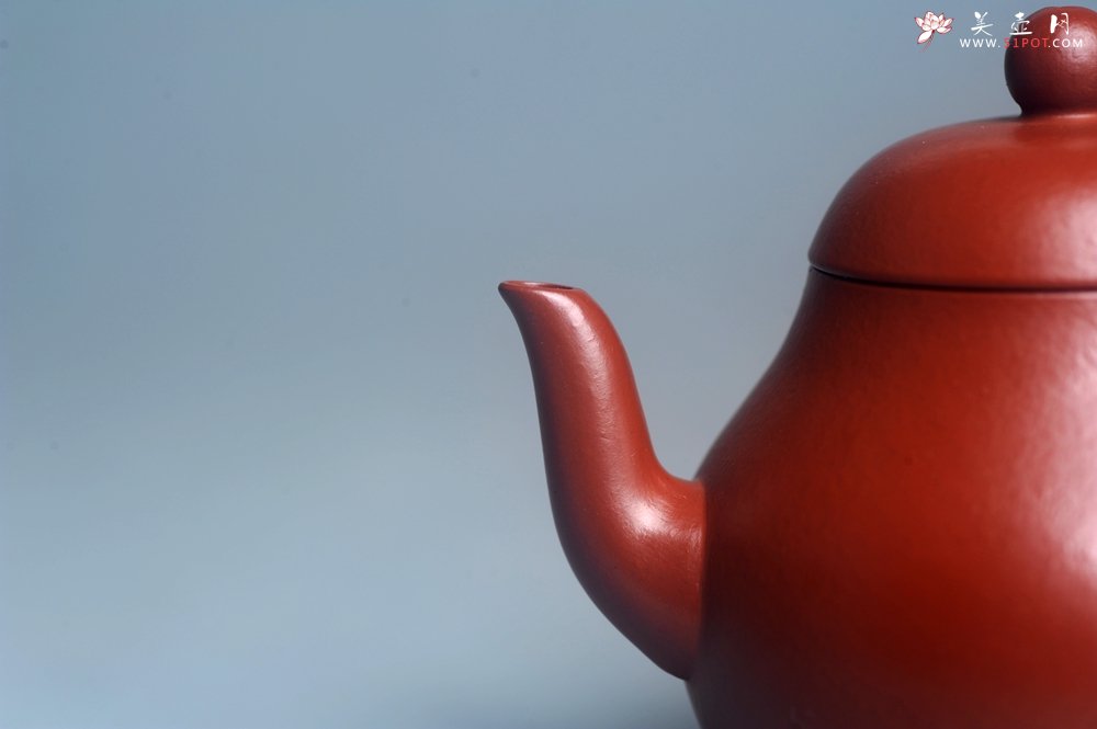 紫砂壶图片：美壶特惠 特好朱泥精致小君德壶 茶人醉爱 - 宜兴紫砂壶网