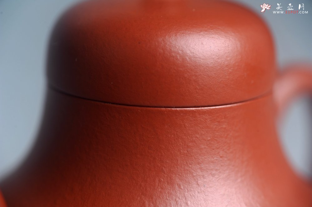 紫砂壶图片：美壶特惠 特好朱泥精致小君德壶 茶人醉爱 - 宜兴紫砂壶网