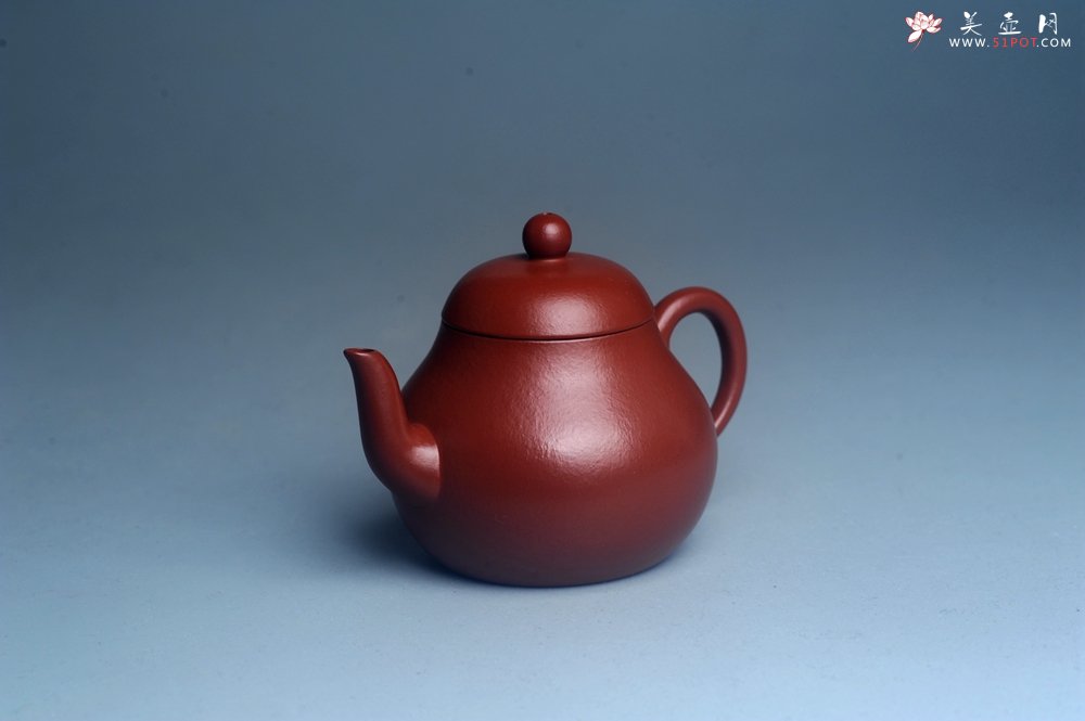 紫砂壶图片：美壶特惠 特好朱泥精致小君德壶 茶人醉爱 - 宜兴紫砂壶网