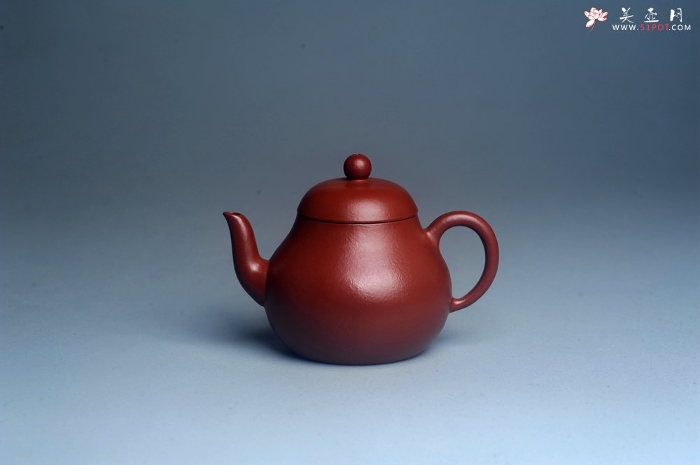 紫砂壶图片：美壶特惠 特好朱泥精致小君德壶 茶人醉爱 - 宜兴紫砂壶网