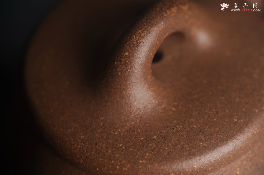 紫砂壶图片：美壶特惠 潜力股王静然 精致老段泥高石瓢 泥绘金蟾 特文气 - 宜兴紫砂壶网