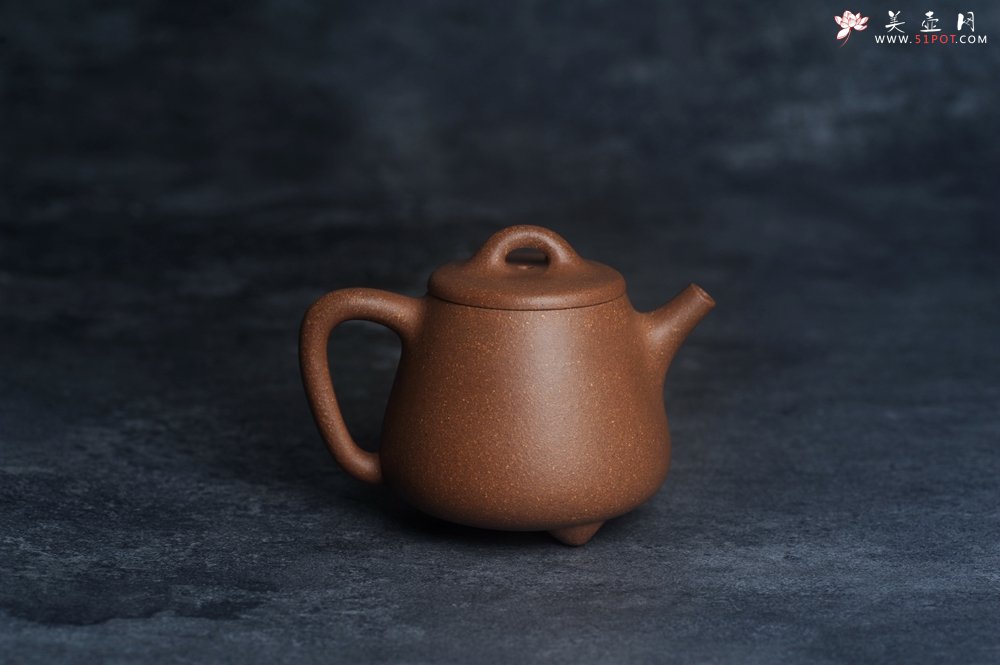 紫砂壶图片：美壶特惠 潜力股王静然 精致老段泥高石瓢 泥绘金蟾 特文气 - 宜兴紫砂壶网