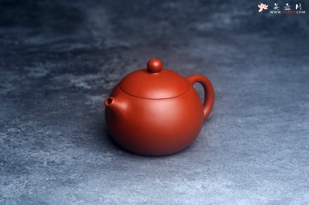 紫砂壶图片：美壶特惠定制最新实用力作 优质朱泥精致西施壶 养后特润 - 宜兴紫砂壶网