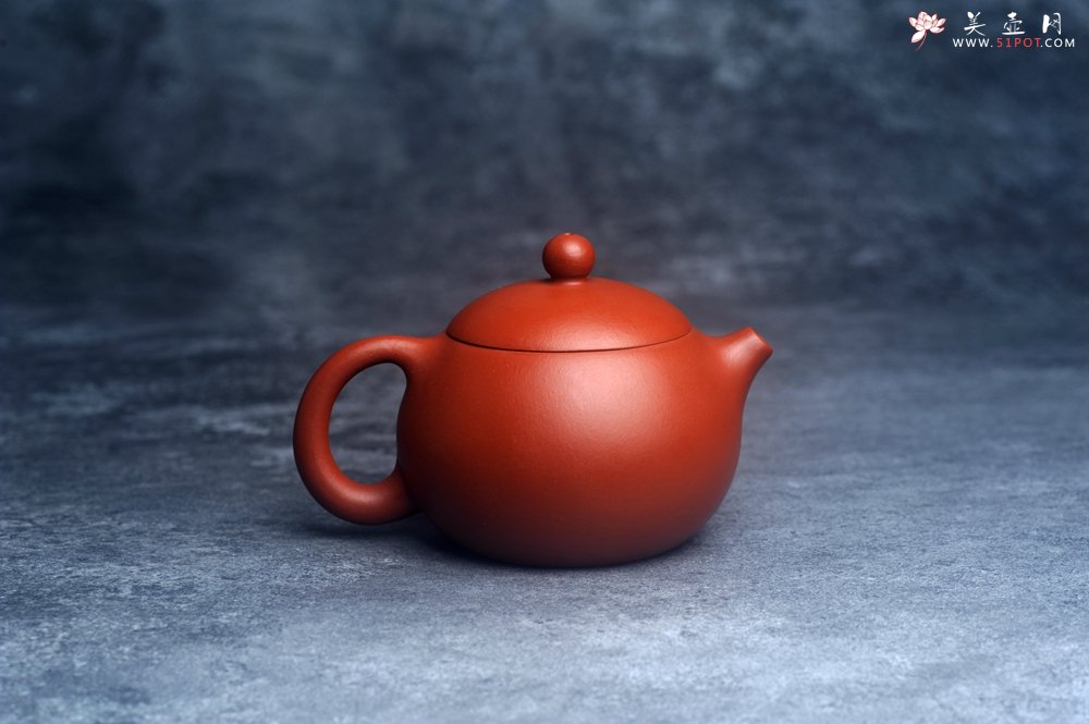 紫砂壶图片：美壶特惠定制最新实用力作 优质朱泥精致西施壶 养后特润 - 宜兴紫砂壶网