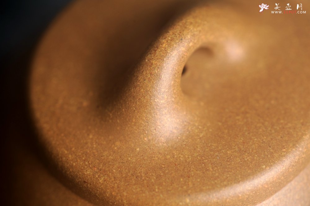 紫砂壶图片：美壶特惠 特好老黄段泥精致子冶石瓢壶 咫尺天涯共月明 - 宜兴紫砂壶网