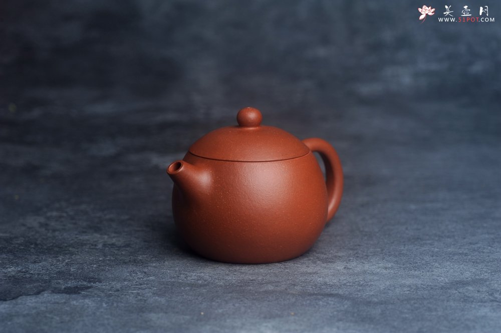 紫砂壶图片：美壶特惠 全手工优质红降坡泥西施壶 特文气 - 宜兴紫砂壶网