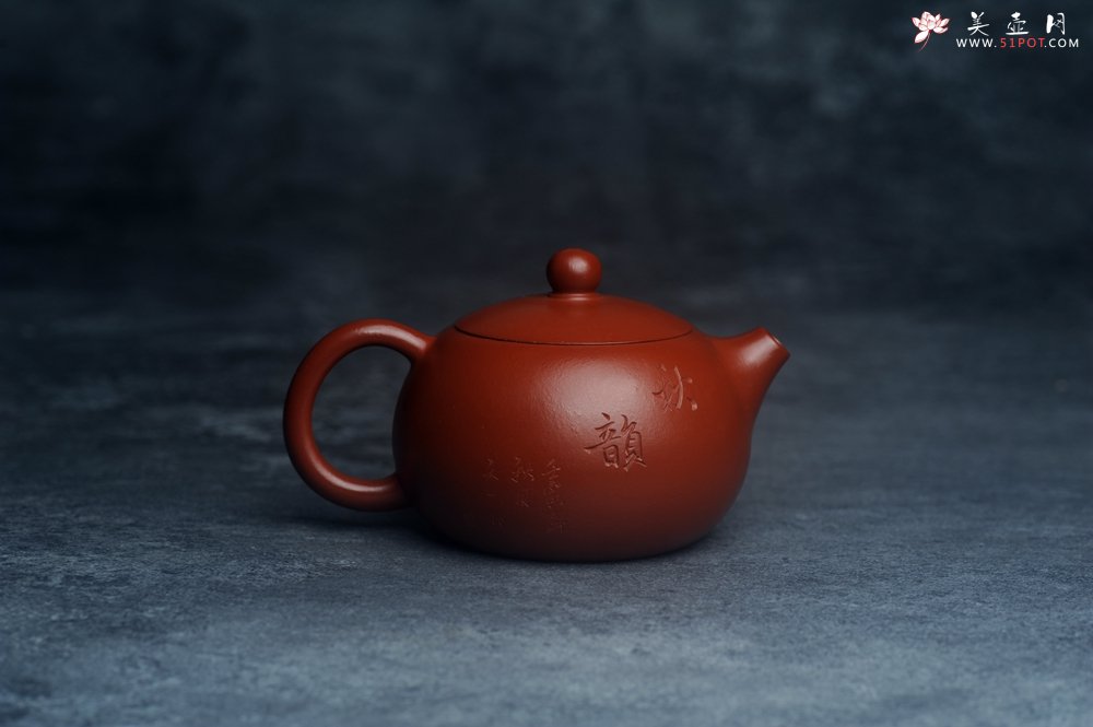 紫砂壶图片：美壶特惠紫砂壶优质朱泥扁西施壶 装饰松针松鼠 秋韵图 - 宜兴紫砂壶网