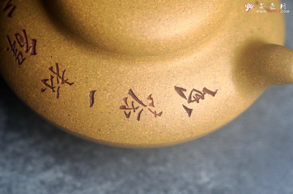 紫砂壶图片：美壶特惠 优质段泥合欢壶 特文气 - 宜兴紫砂壶网