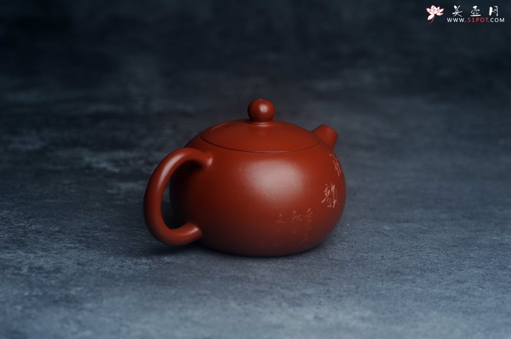 紫砂壶图片：美壶特惠紫砂壶优质朱泥扁西施壶 装饰松针松鼠 秋韵图 - 宜兴紫砂壶网