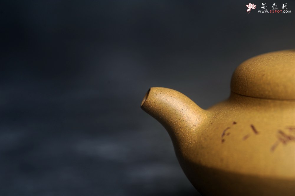 紫砂壶图片：美壶特惠 优质段泥合欢壶 特文气 - 宜兴紫砂壶网