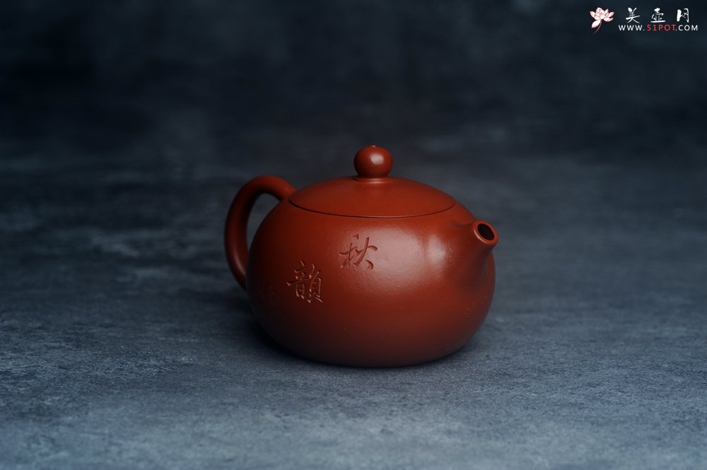 紫砂壶图片：美壶特惠紫砂壶优质朱泥扁西施壶 装饰松针松鼠 秋韵图 - 宜兴紫砂壶网