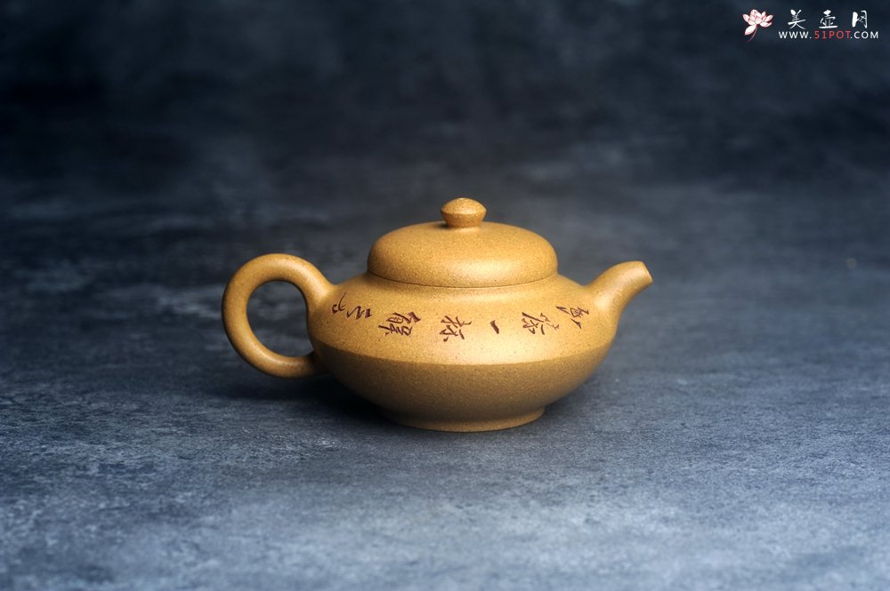 紫砂壶图片：美壶特惠 优质段泥合欢壶 特文气 - 宜兴紫砂壶网