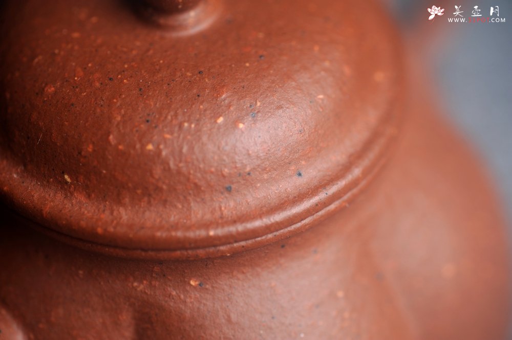 紫砂壶图片：美壶特惠 90年代老料传统老工艺摹古打造 油性十足 铁质丰富 手工摹古菊瓣壶 独孔 已加过滤网 - 宜兴紫砂壶网