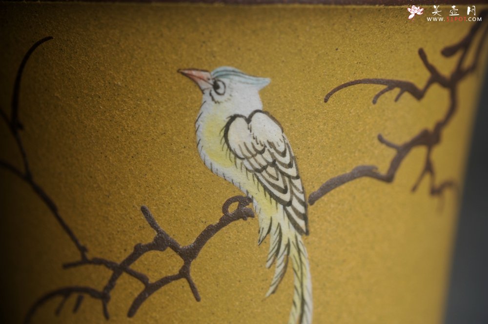 紫砂壶图片：美美杯特惠 精致花鸟紫泥粉黄金段泥主人杯 特文气 - 宜兴紫砂壶网