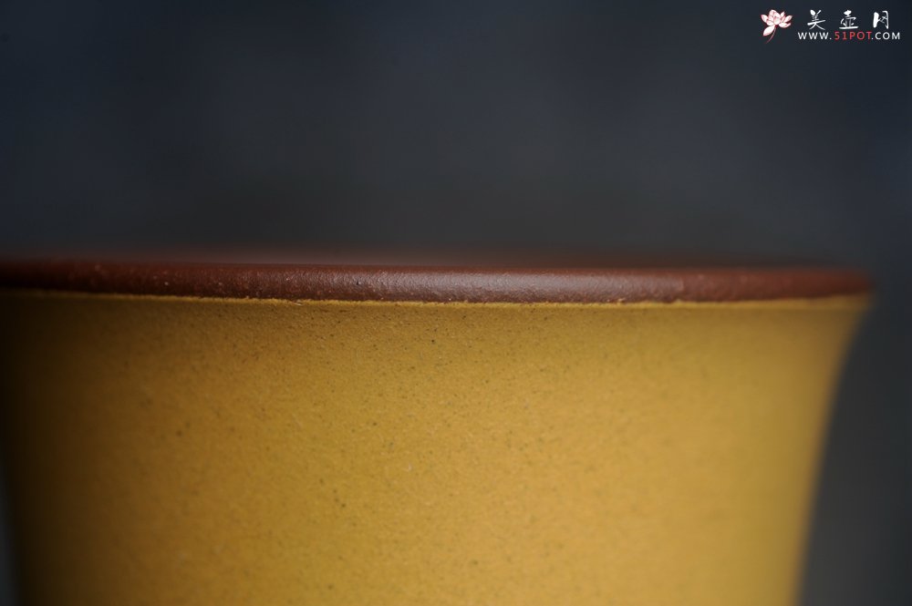 紫砂壶图片：美美杯特惠 精致花鸟紫砂杯 紫泥粉黄金段泥主人杯 茶杯 特文气 - 宜兴紫砂壶网