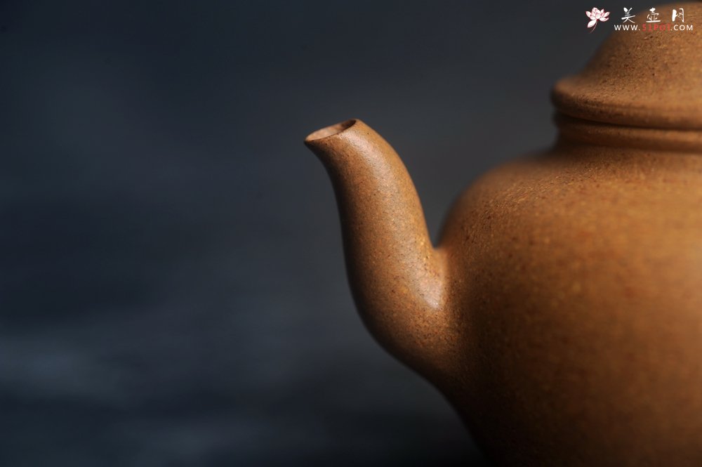 紫砂壶图片：美壶特惠 油润五彩段泥莲子宫灯壶 - 宜兴紫砂壶网