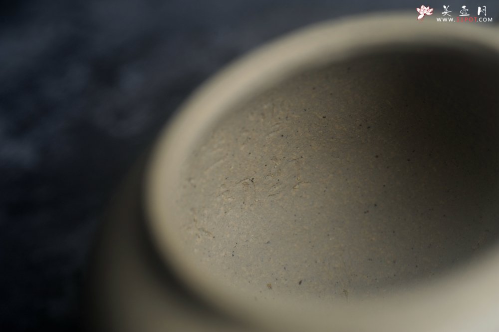 紫砂壶图片：美壶特惠 特好本山绿泥全手工三足水平壶 装饰梅花特文气 - 宜兴紫砂壶网