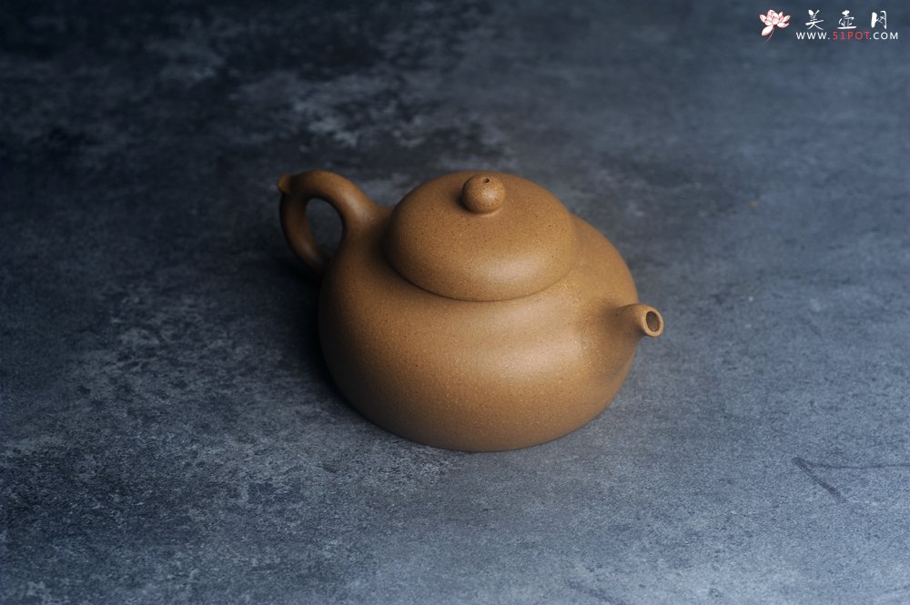 紫砂壶图片：美壶特惠 特好黄金段泥小美壶 - 宜兴紫砂壶网