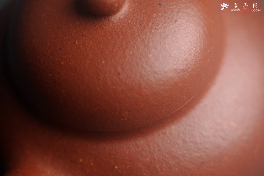 紫砂壶图片：美壶特惠 特好降坡泥小美壶 茶人醉爱 - 宜兴紫砂壶网