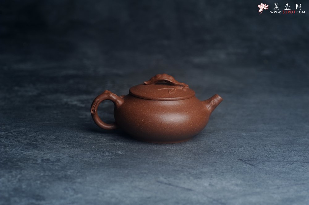 紫砂壶图片：美壶特惠 特好降坡泥扁豆壶 肌理丰富生动 - 宜兴紫砂壶网